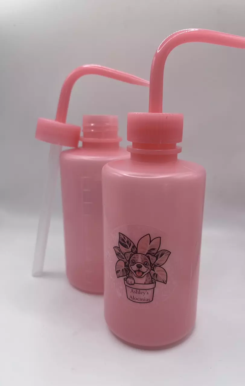 plant/Ashley’s Alocasia Pink Watering Squeeze Bottle – 250ml-1
