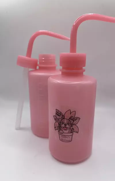 plant/Ashley’s Alocasia Pink Watering Squeeze Bottle – 250ml-1-thumbnail