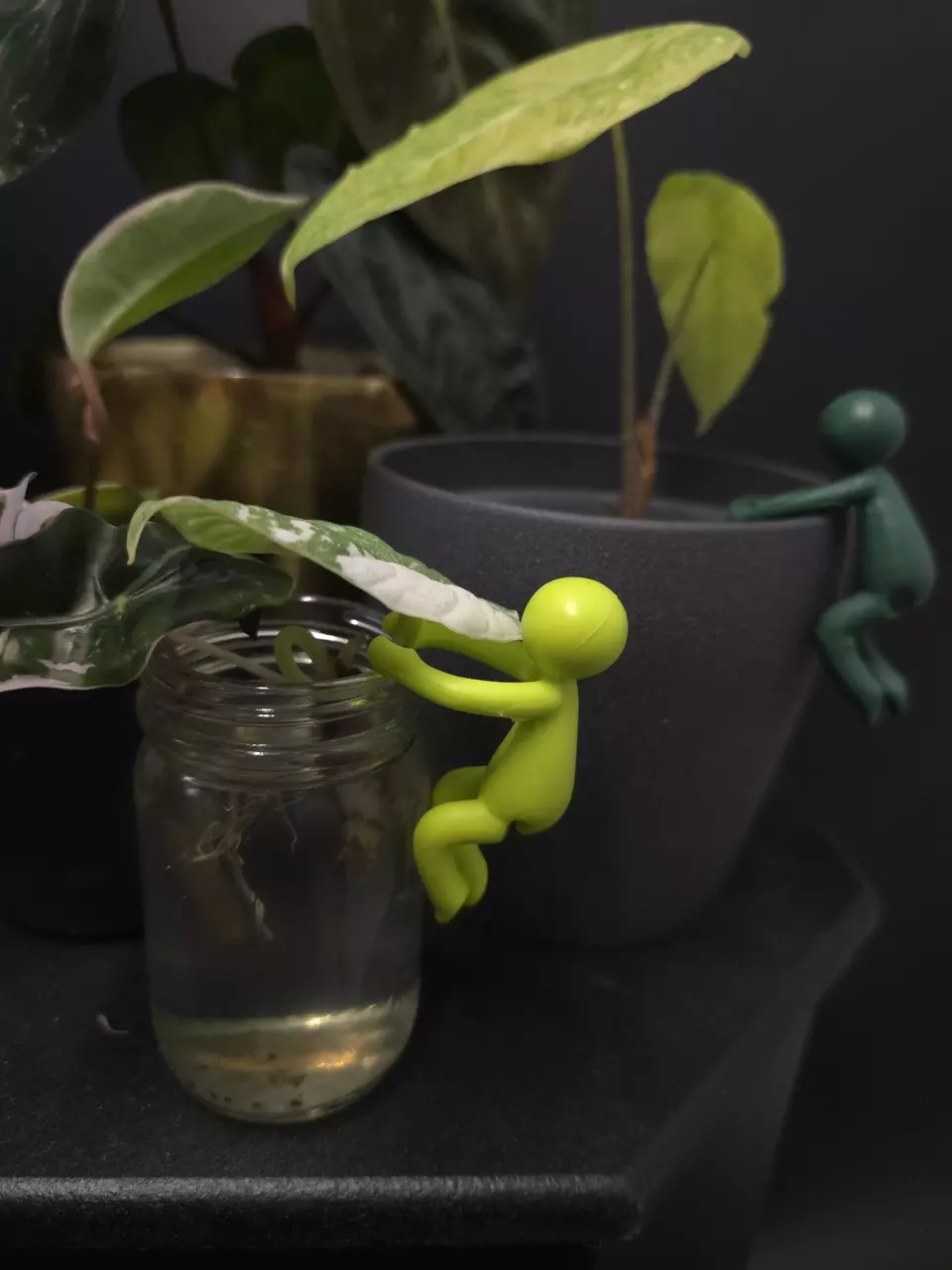 plant/Helping Hands Pot Pals 2 Pack **ADD ON ONLY**-0