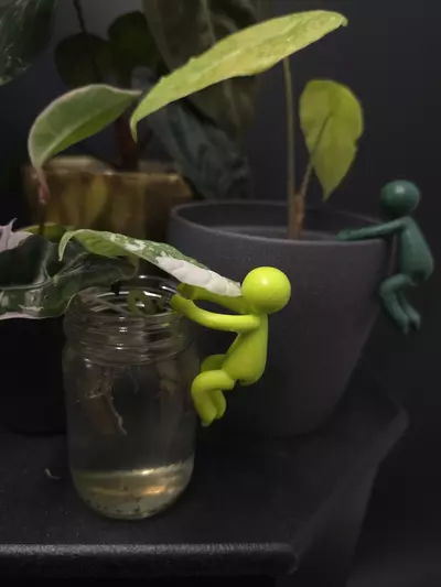 plant/Helping Hands Pot Pals 2 Pack **ADD ON ONLY**-0-thumbnail