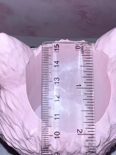 plant/Labubu Flower Succulent Pot Planter 3D Printed Hand Painted WYSIWYG-5-thumbnail