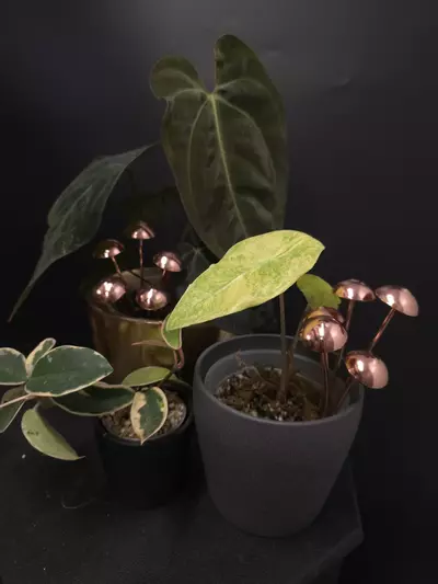 plant/Copper Mushroom Pot Pal SINGLE **ADD ON ONLY**-0-thumbnail