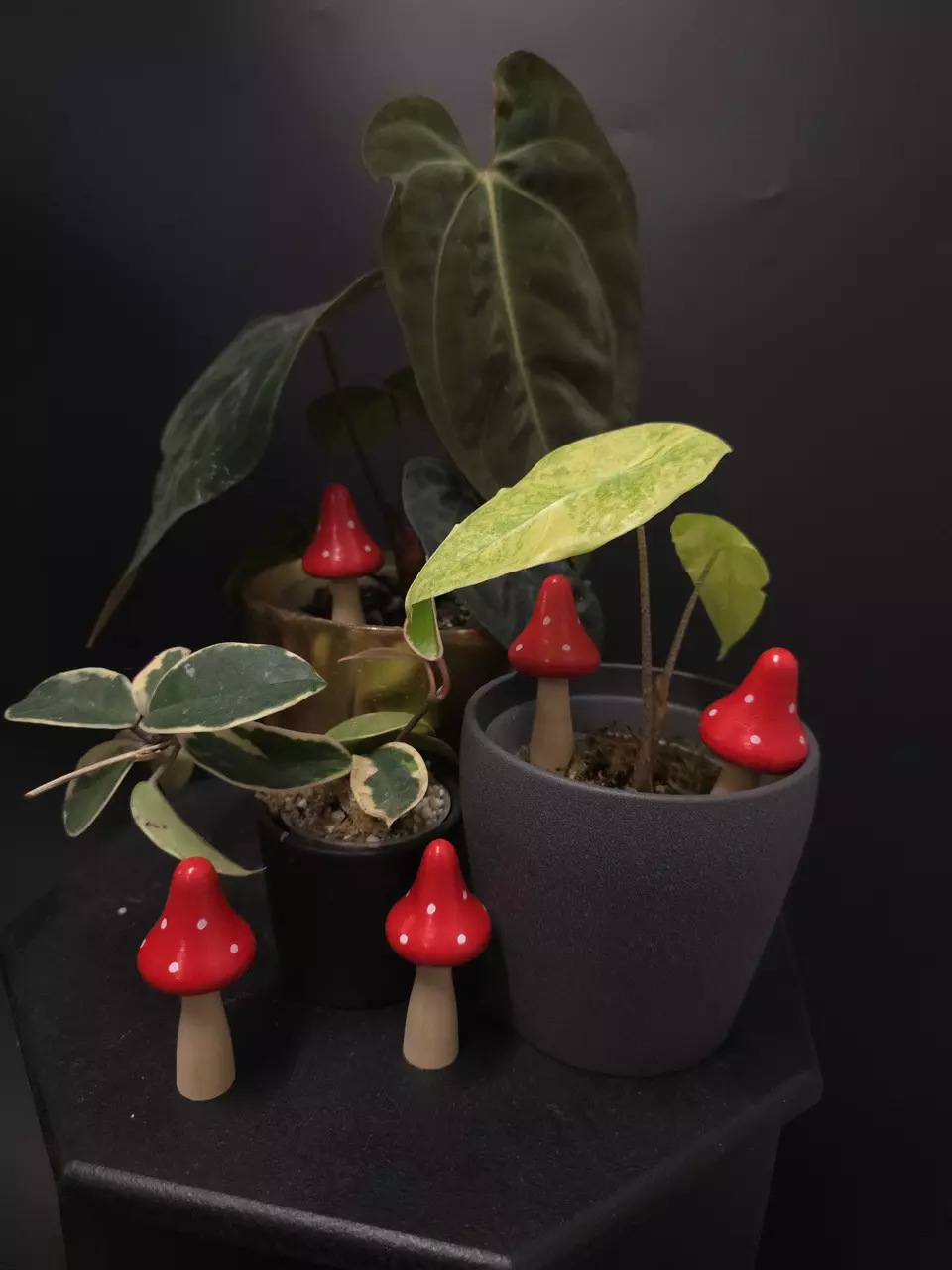 plant/Mushroom Pot Pal - SINGLE **ADD ON ONLY**-0