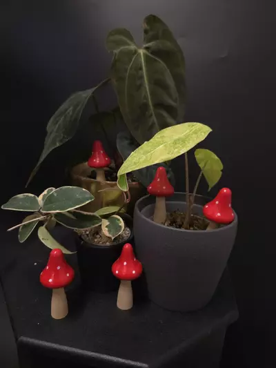 plant/Mushroom Pot Pal - SINGLE **ADD ON ONLY**-0-thumbnail