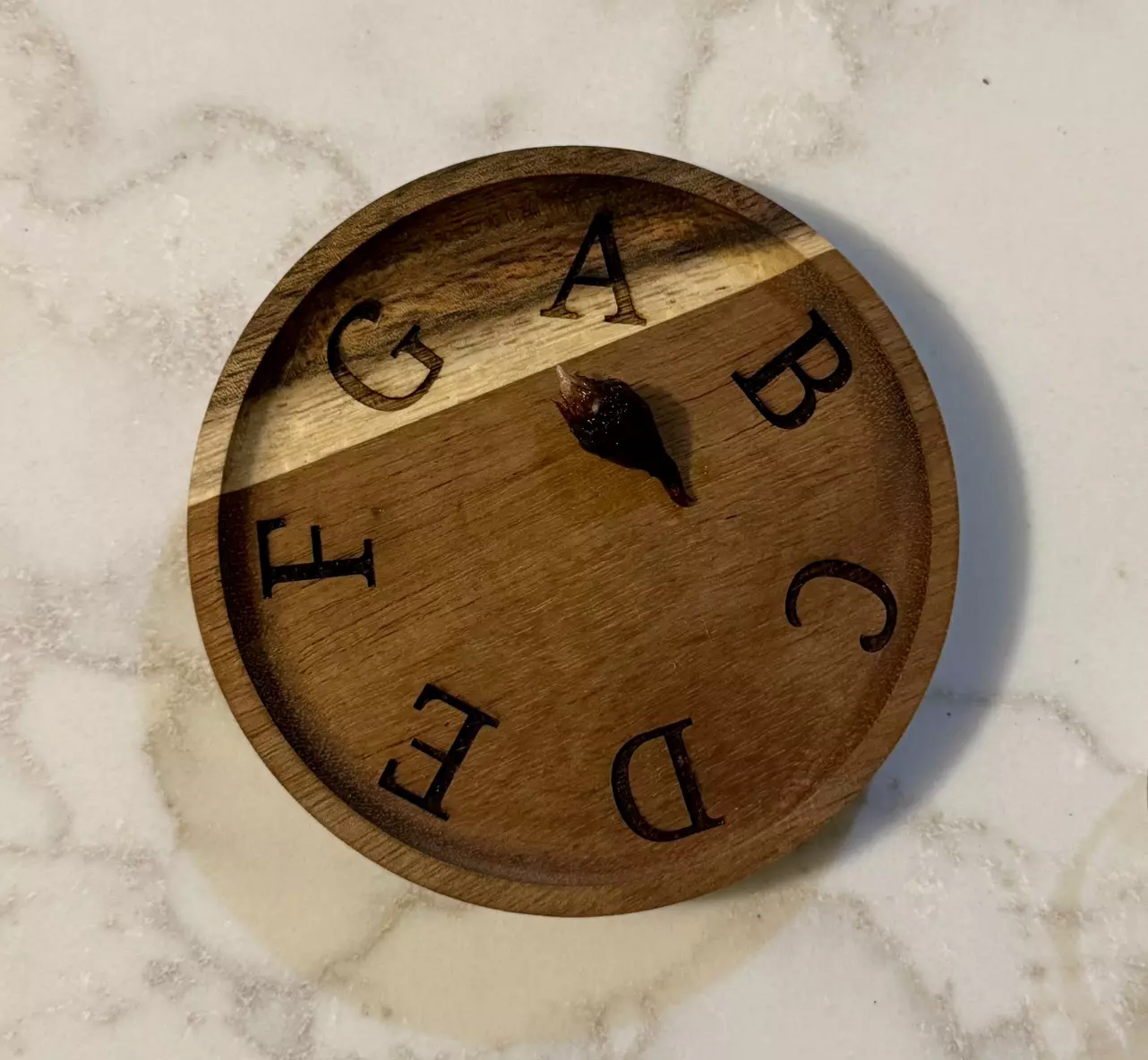 plant/Alocasia Pink Plumbea sprouting corm (mama NFS)-1