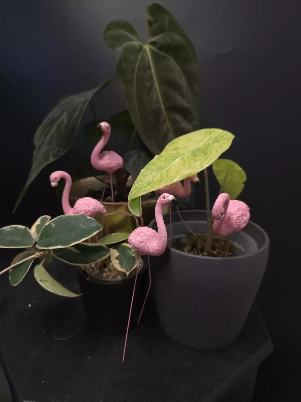 plant/Flamingo Stake Pot Pal SINGLE CT **ADD ON ONLY**-0