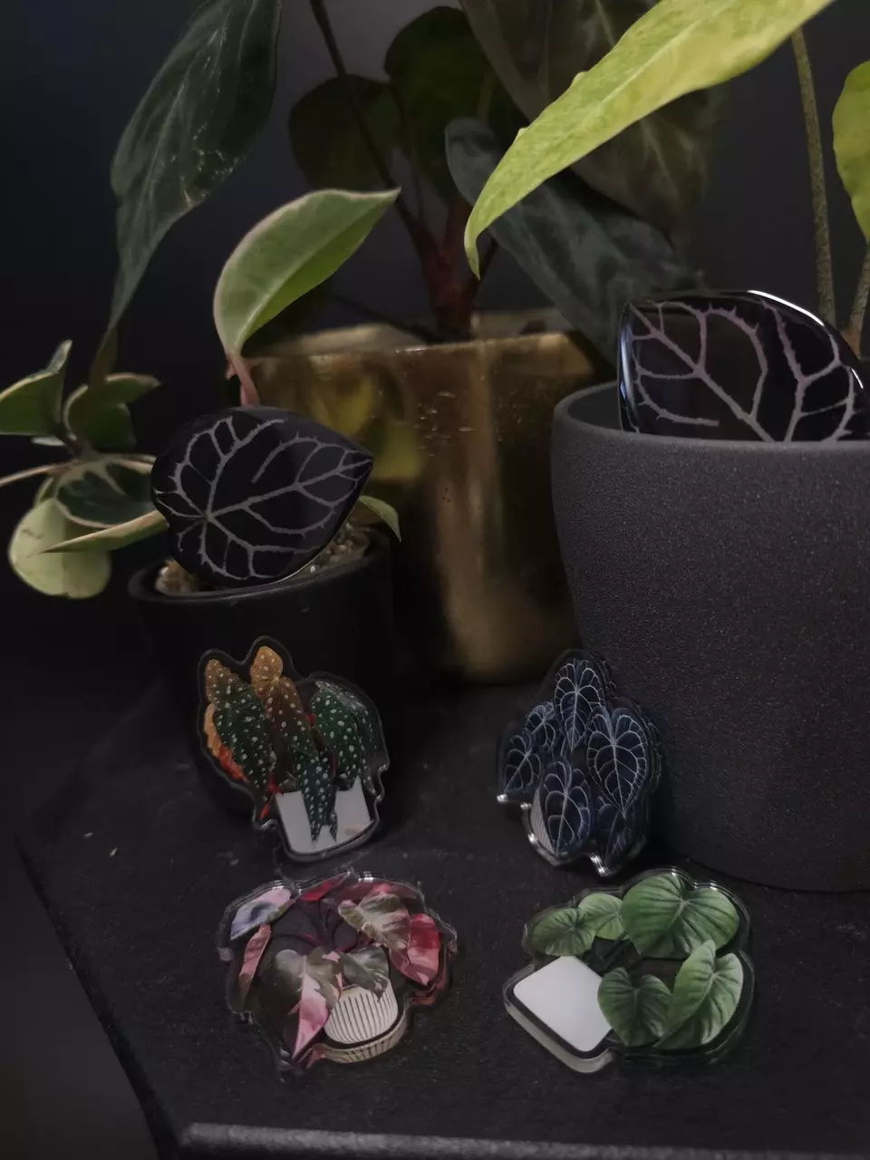 plant/Plant Themed Magnet SINGLE CT **ADD ON ONLY**-0