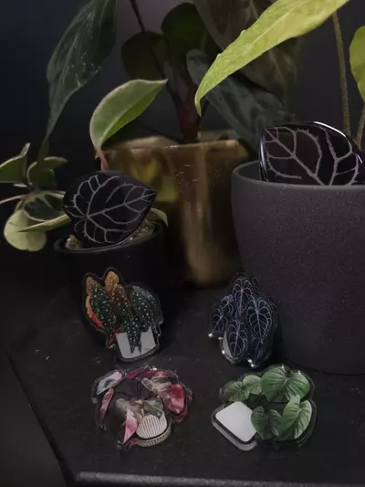 plant/Plant Themed Magnet SINGLE CT **ADD ON ONLY**-0-thumbnail