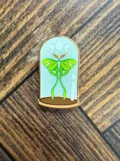 plant/magnet luna moth in cloche-0