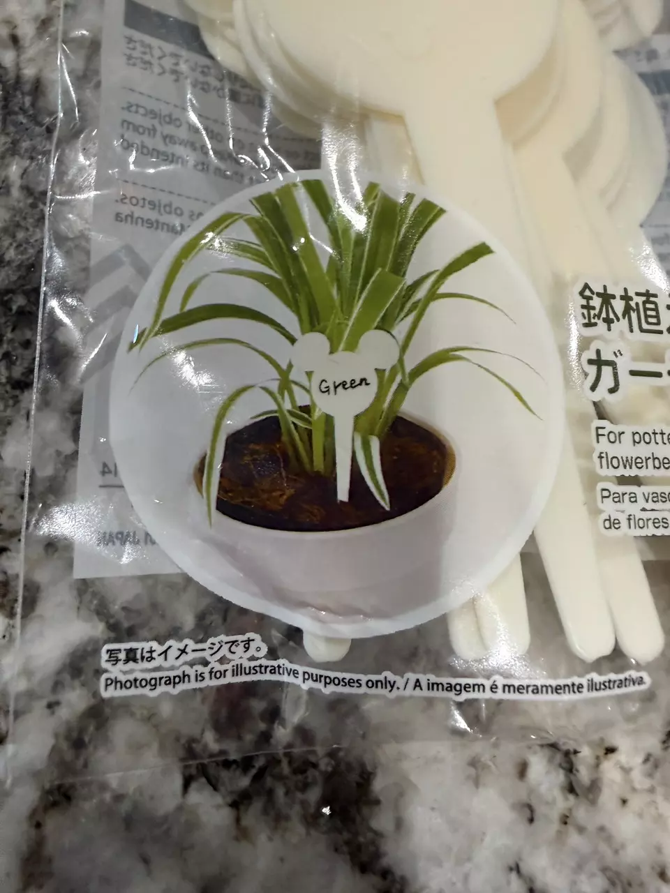 plant/MICKEY MOUSE PLANT NAME PLATES!-1