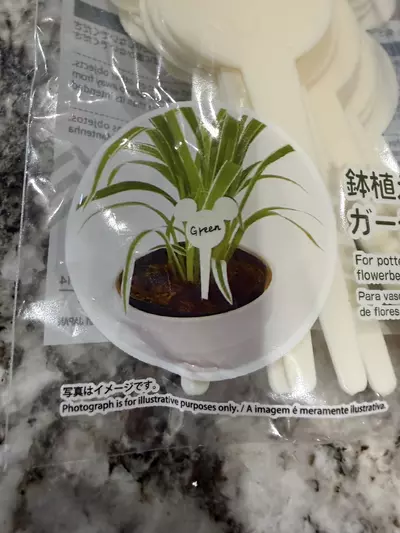 plant/MICKEY MOUSE PLANT NAME PLATES!-1-thumbnail