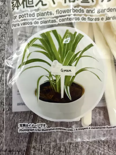 plant/MICKEY MOUSE PLANT NAME PLATES-1-thumbnail