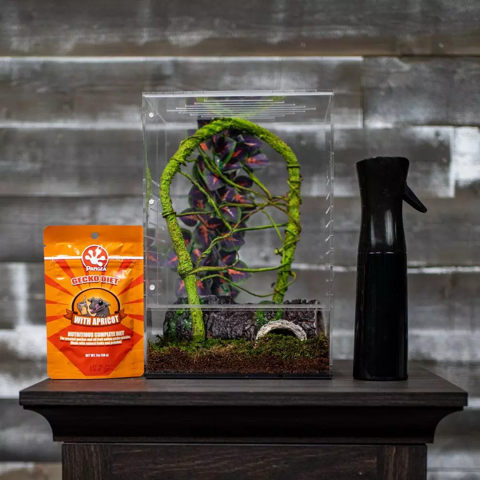 plant/Crested Gecko Complete Starter Kit-0