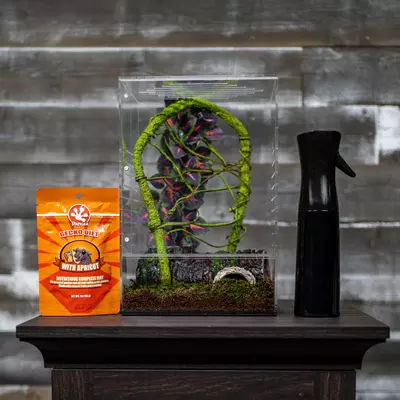 plant/Crested Gecko Complete Starter Kit-0-thumbnail