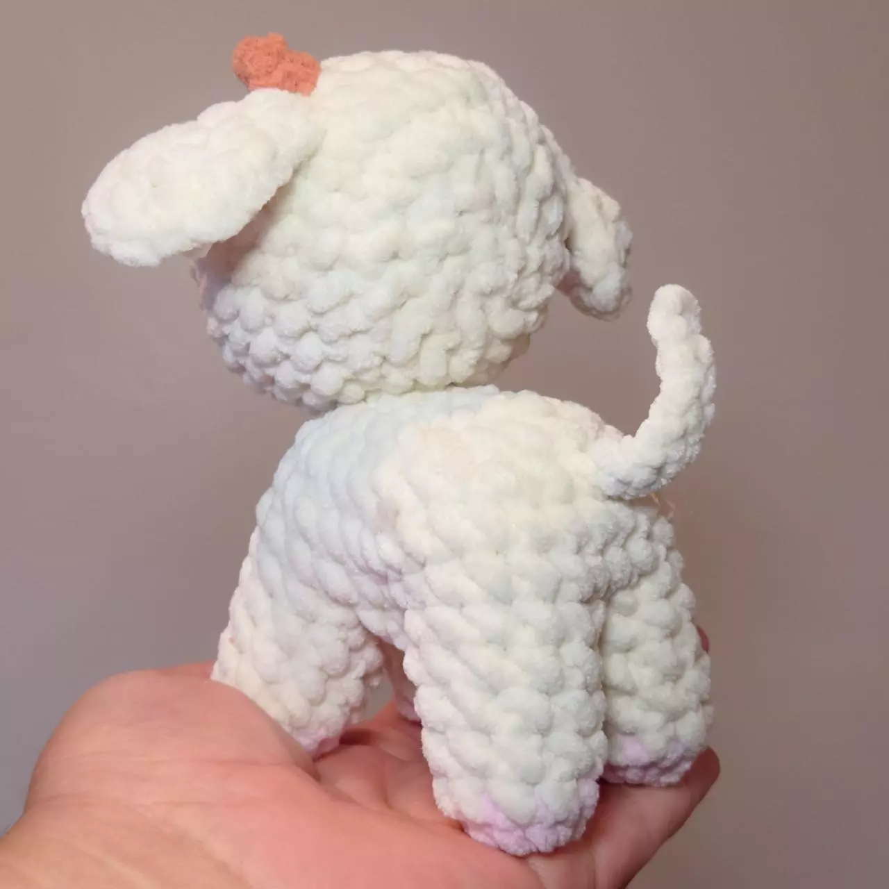 plant/Little Lamb 🐑-1