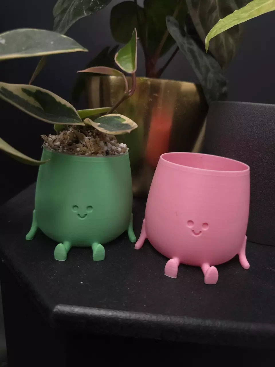 plant/3D Printed 3” Pot Friend SINGLE CT RANDOM COLOR *ADD ON ONLY*-0