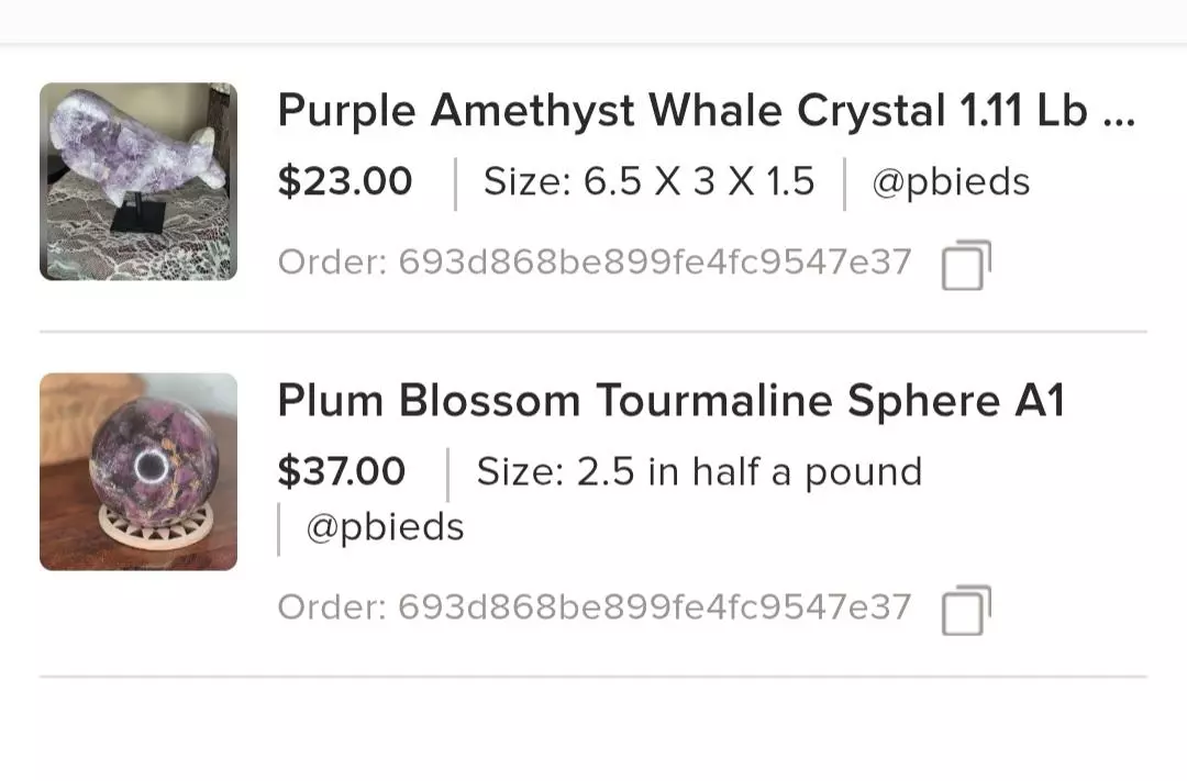 plant/Bundle for P-0