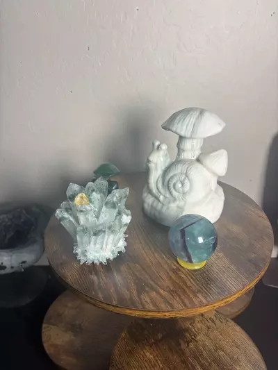 plant/Turbo Christmas Bundle-2-thumbnail