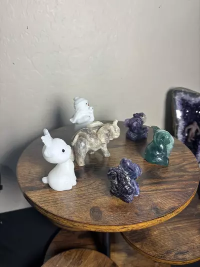 plant/Ellie’s Christmas Bundle!🎄-4-thumbnail