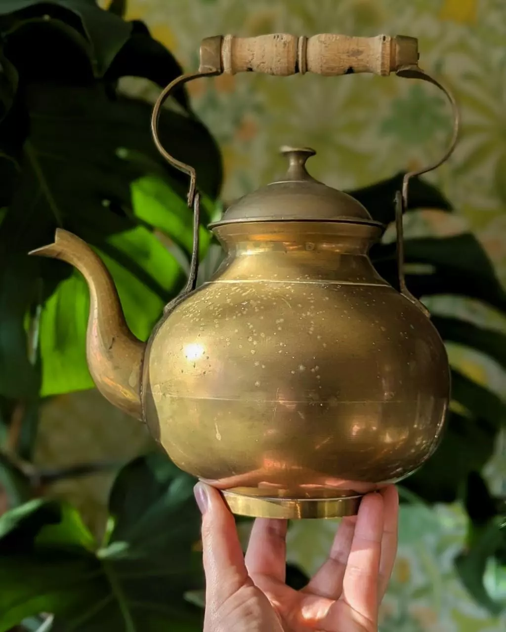 plant/large brass vintage teapot-0