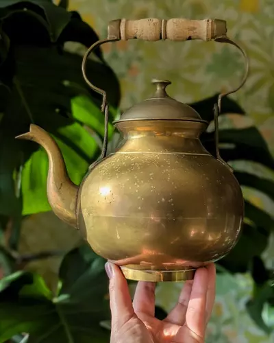 plant/large brass vintage teapot-0-thumbnail