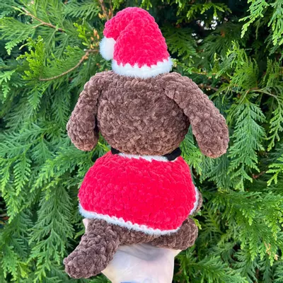 plant/PDF Crochet Pattern: Christmas Pup Dress Up!🎄🐶 (NOT a physical product!)-5-thumbnail