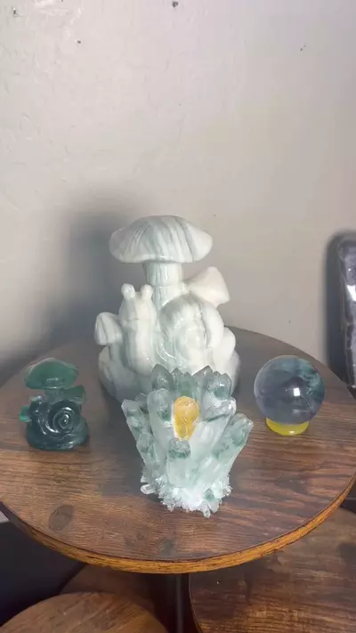 plant/Turbo Christmas Bundle-0-thumbnail