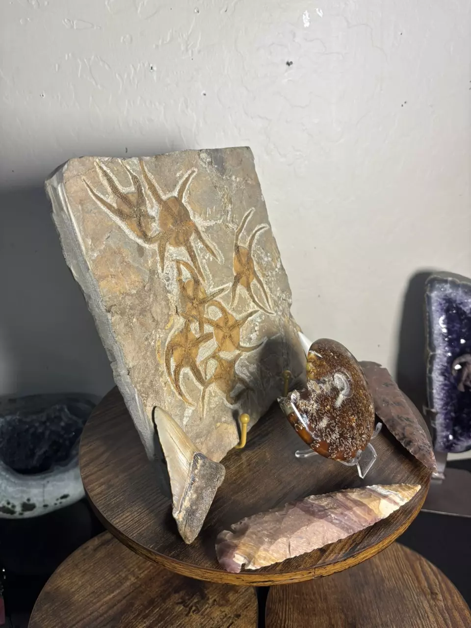 plant/Fossilized Christmas Bundle-4