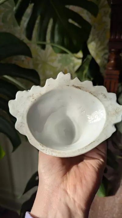 plant/antique French porcelain vase c. mid 19th century-4-thumbnail