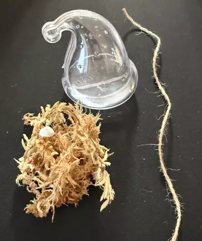 plant/Santa Hat Prop Ornament - 3Pack-1-thumbnail