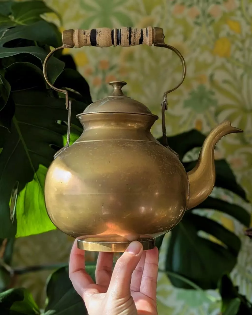 plant/large brass vintage teapot-1