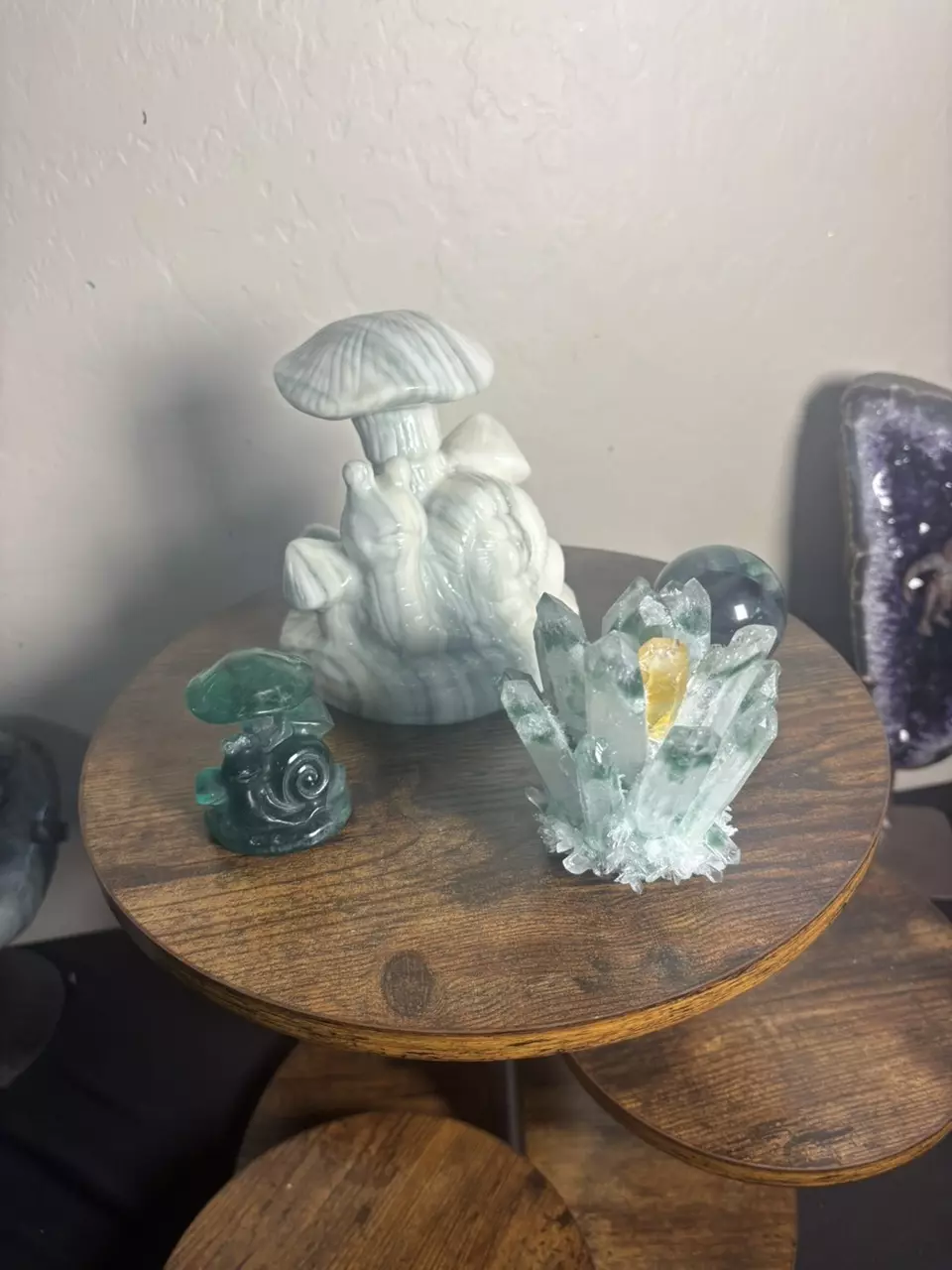 plant/Turbo Christmas Bundle-5