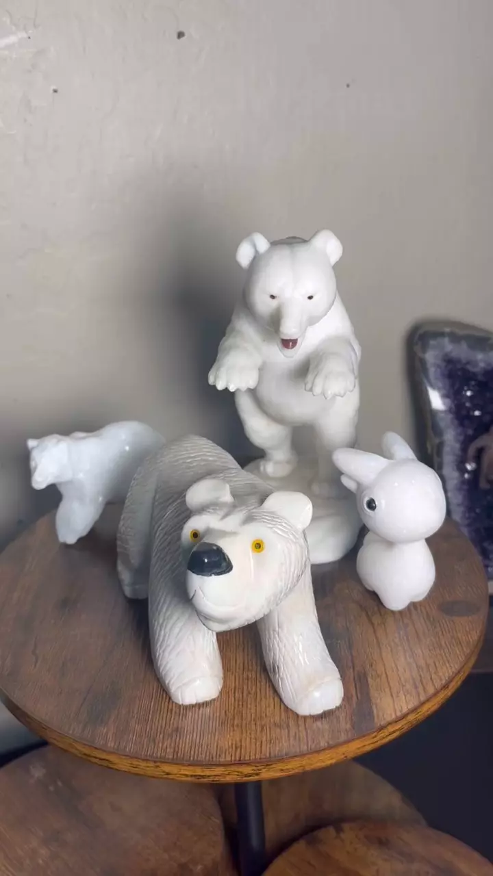 plant/Arctic Christmas Bundle!🎄-0