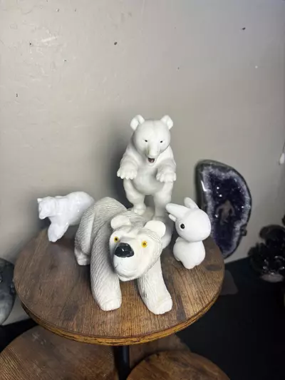 plant/Arctic Christmas Bundle!🎄-1-thumbnail