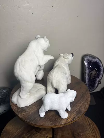 plant/Arctic Christmas Bundle!🎄-3-thumbnail