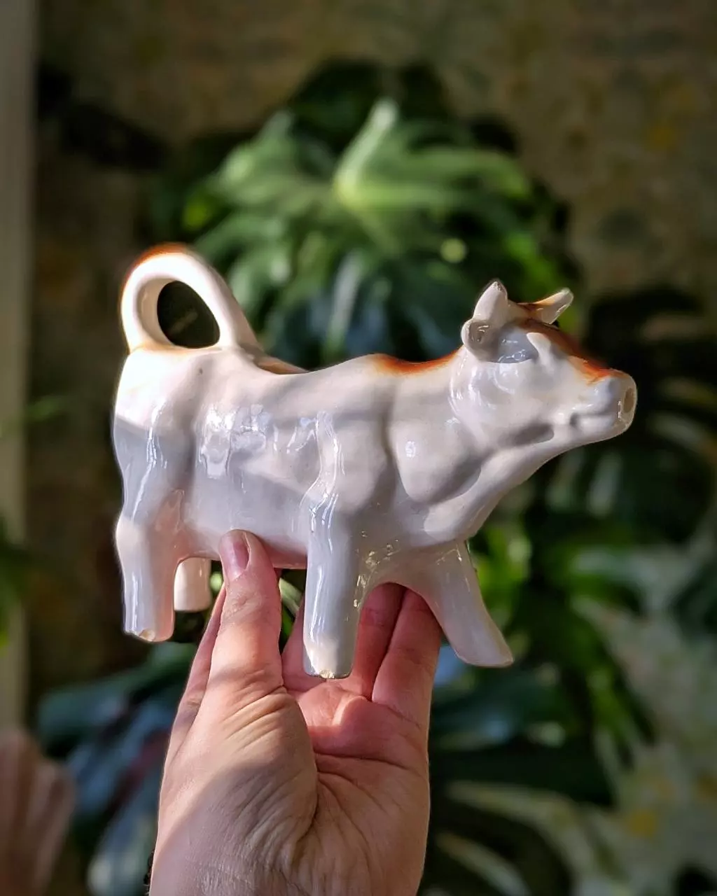 plant/vintage cow creamer pitcher, marked japan-0