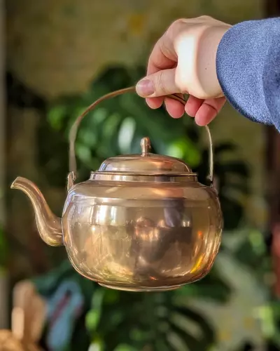 plant/medium sized brass teapot-0-thumbnail