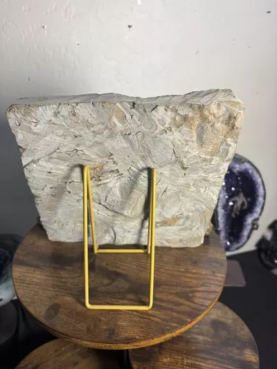 plant/Fossilized Christmas Bundle-3-thumbnail