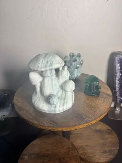 plant/Turbo Christmas Bundle-3-thumbnail