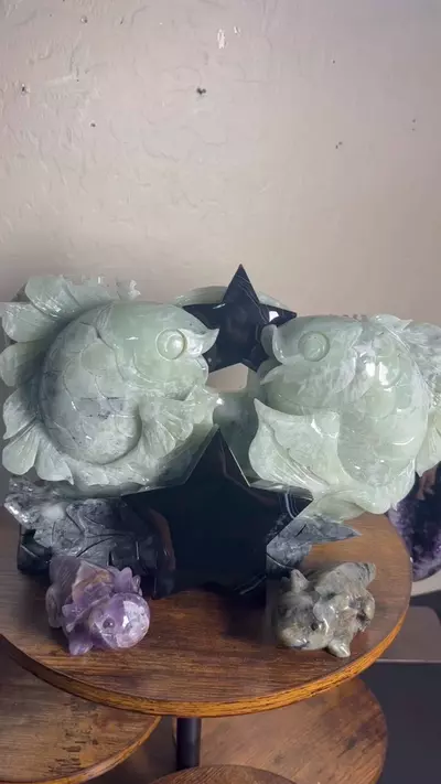 plant/Lucky Christmas Bundle-0-thumbnail