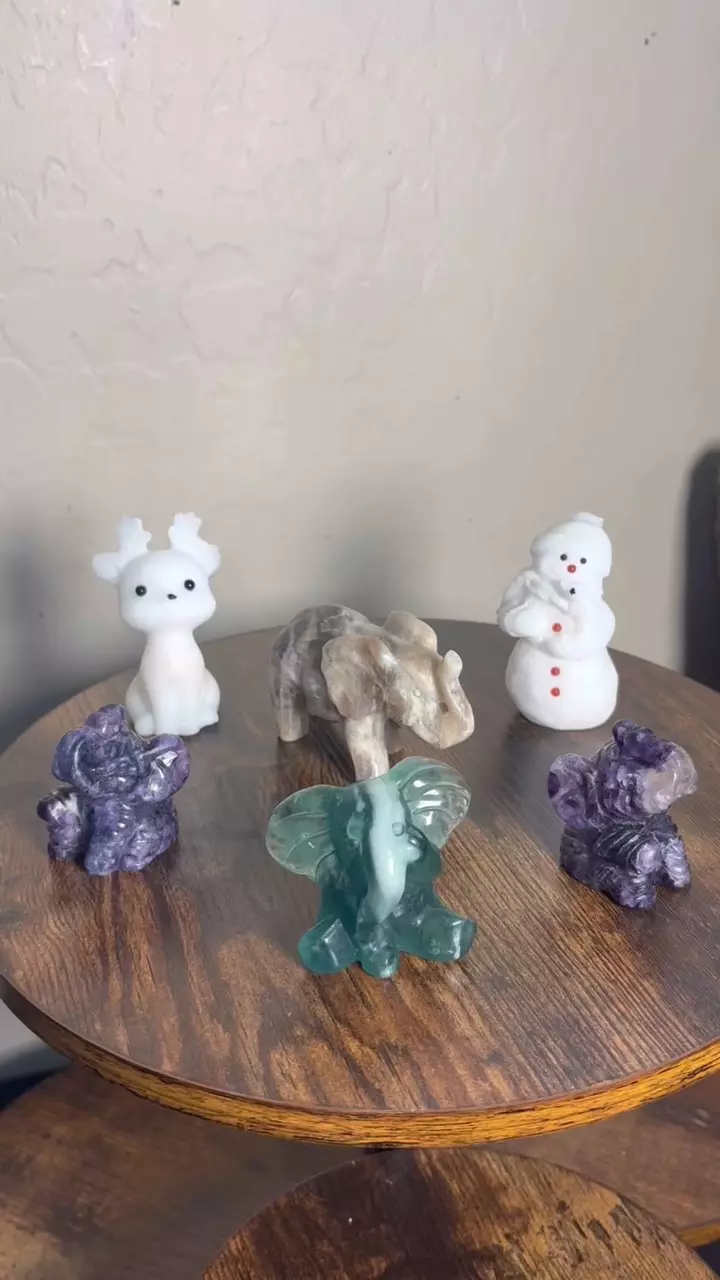 plant/Ellie’s Christmas Bundle!🎄-0