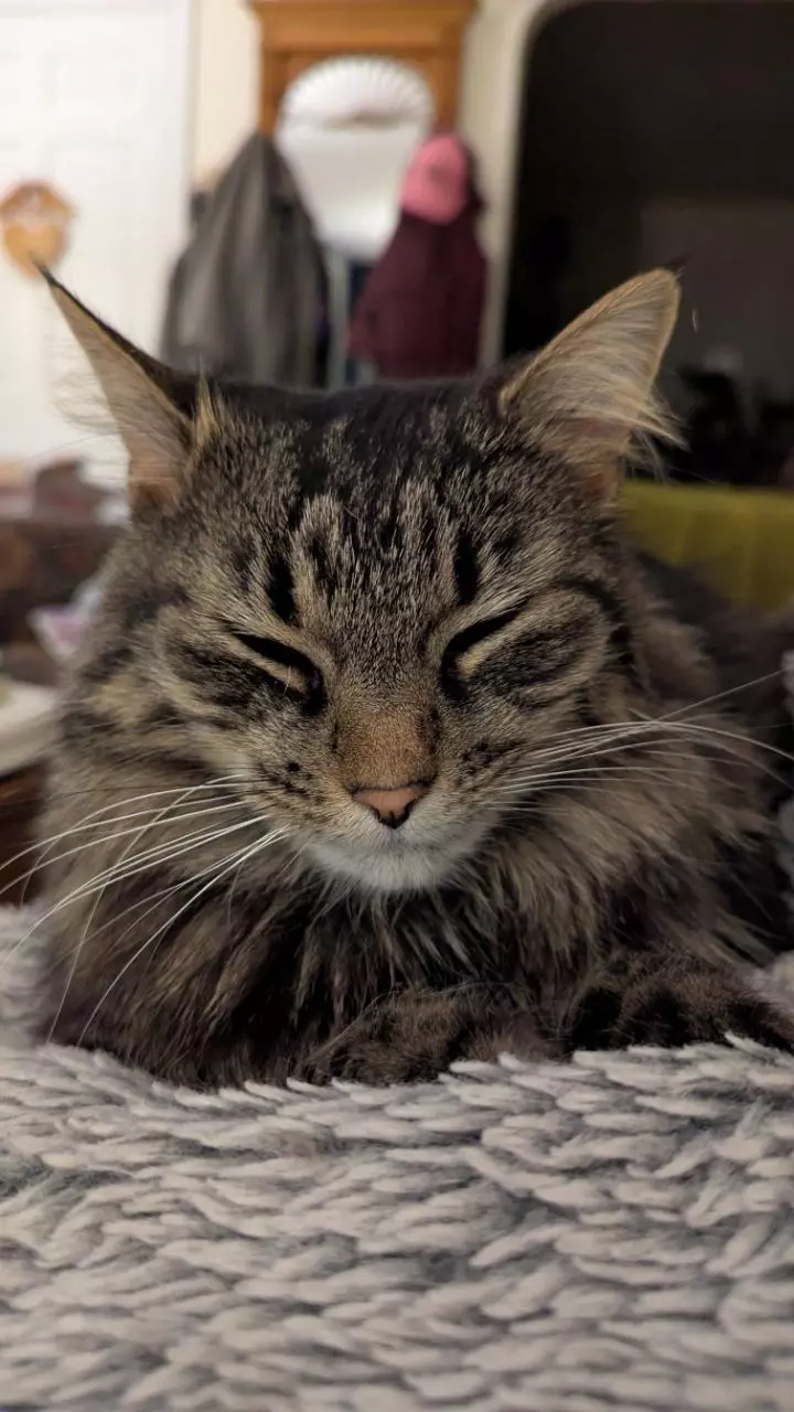 shipping_upgrade/Expedited shipping upgrade-0