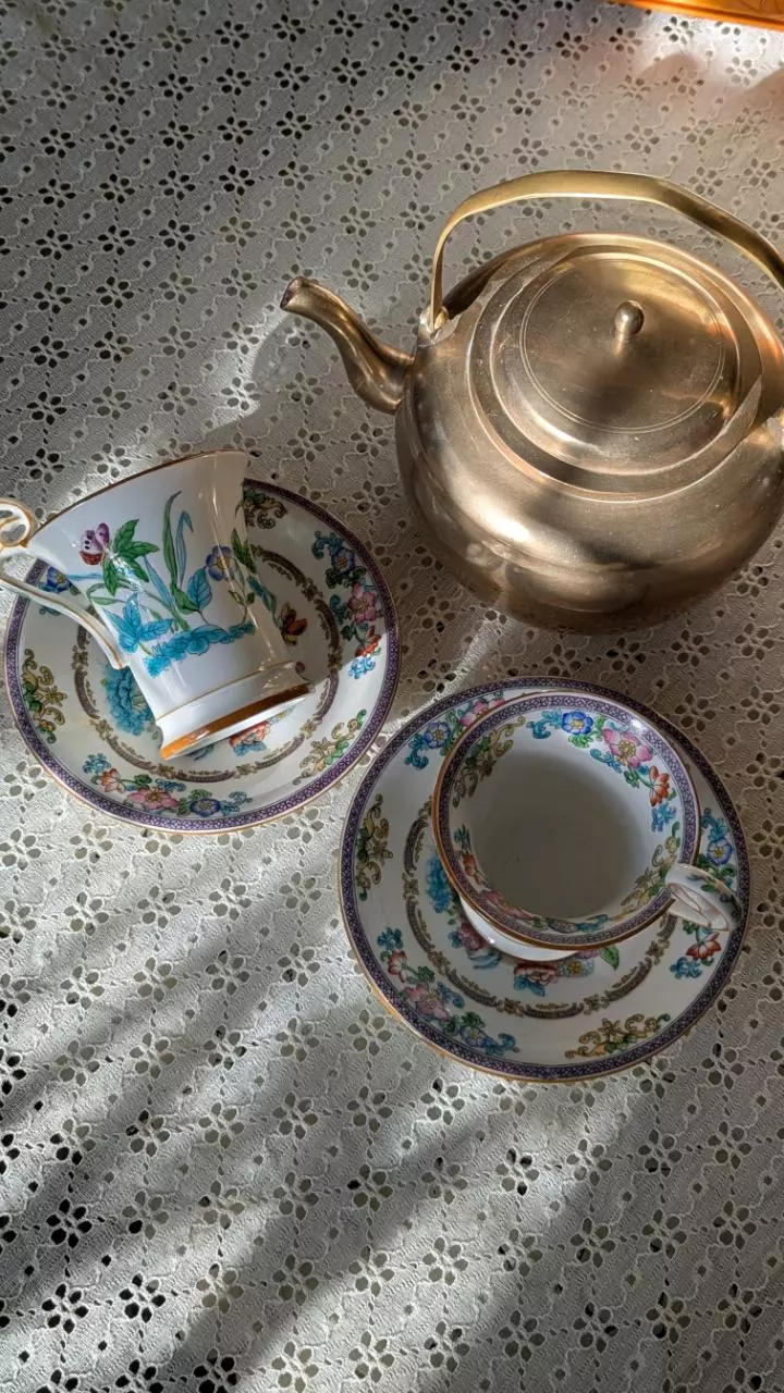 plant/medium sized brass teapot-1