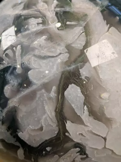 plant/#16096 Moss Agate Sphere ~2480 Grams (12.07 Pounds) was $210-3-thumbnail