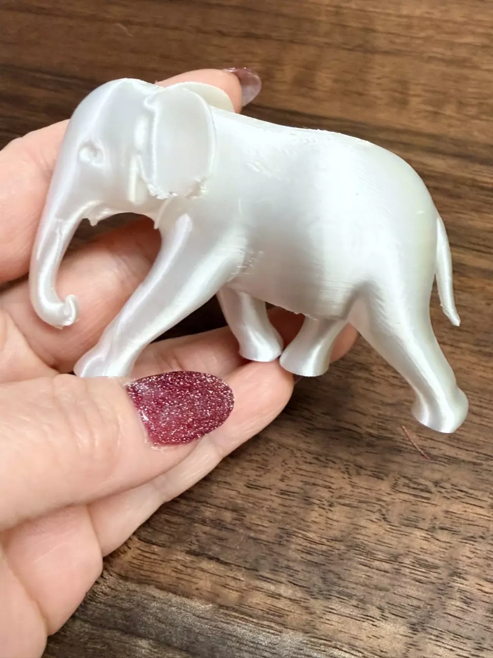 plant/The white elephant that beats all white of elephants!-0