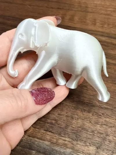 plant/The white elephant that beats all white of elephants!-0-thumbnail