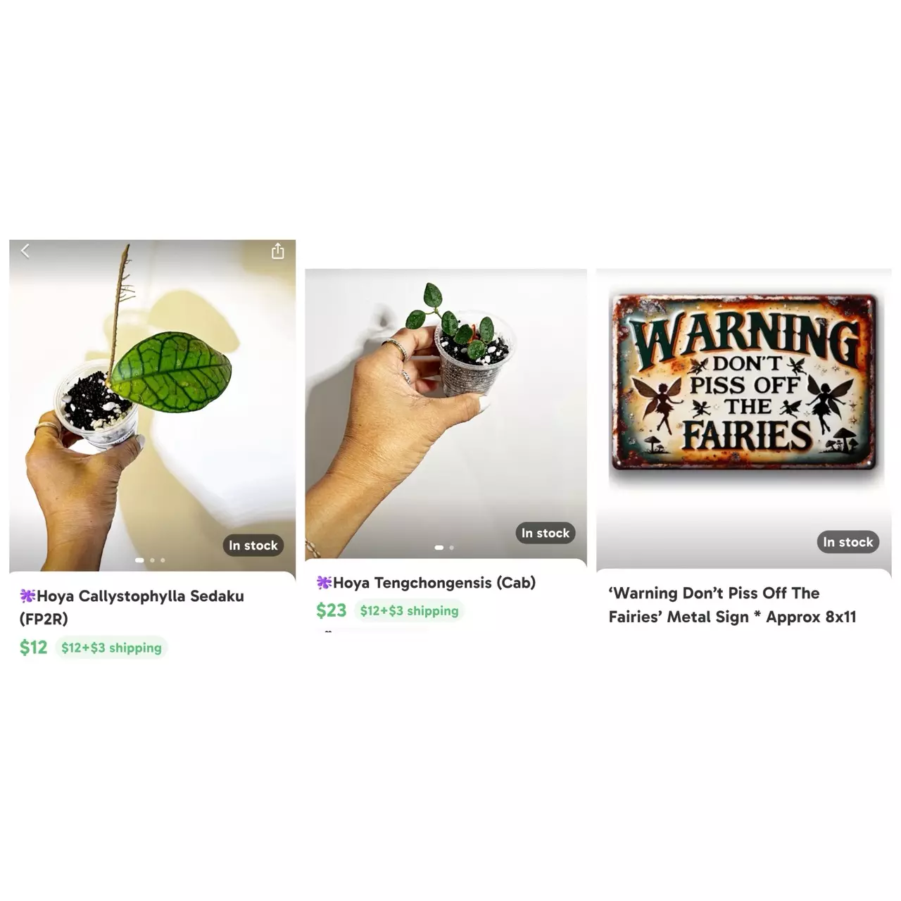 plant/✨GIFT BUNDLE ✨🫶🏼for Jetta 🥰-0