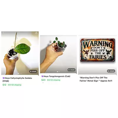 plant/✨GIFT BUNDLE ✨🫶🏼for Jetta 🥰-0-thumbnail