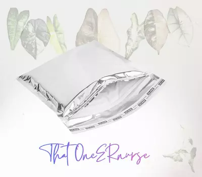 plant/Foam insulated shipping mailer-0-thumbnail