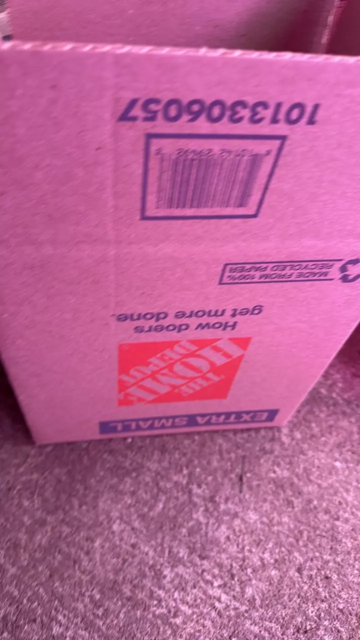 plant/3 day shipping-0